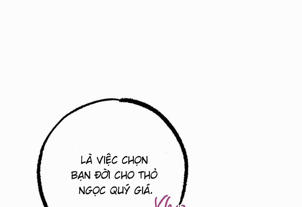 Đàn Thỏ Của Habibi 62 trang 139