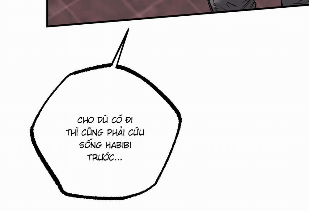 Đàn Thỏ Của Habibi 62 trang 188