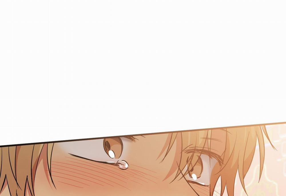 Đàn Thỏ Của Habibi 62 trang 190