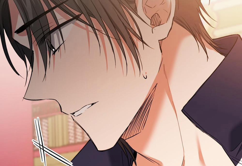 Đàn Thỏ Của Habibi 62 trang 195