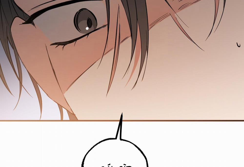 Đàn Thỏ Của Habibi 62 trang 204