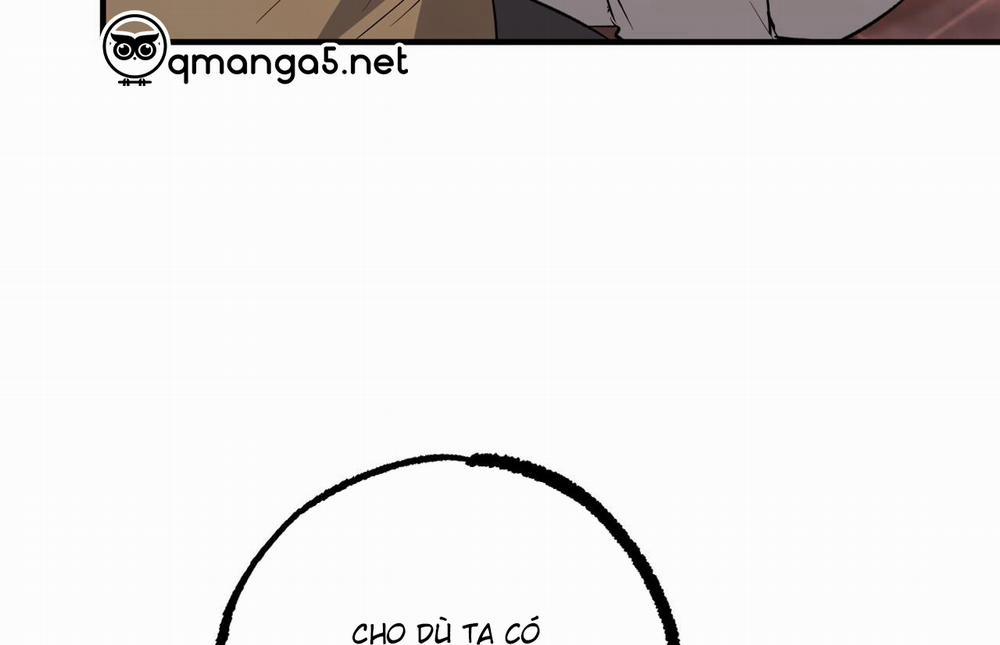 Đàn Thỏ Của Habibi 62 trang 209