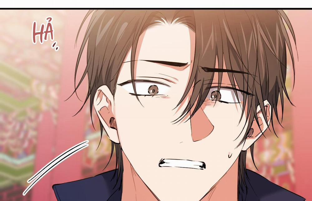 Đàn Thỏ Của Habibi 62 trang 215