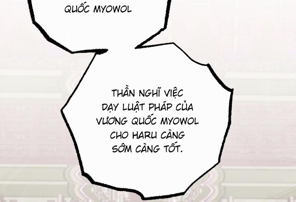 Đàn Thỏ Của Habibi 62 trang 244