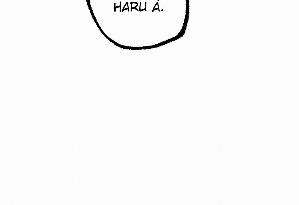 Đàn Thỏ Của Habibi 62 trang 251