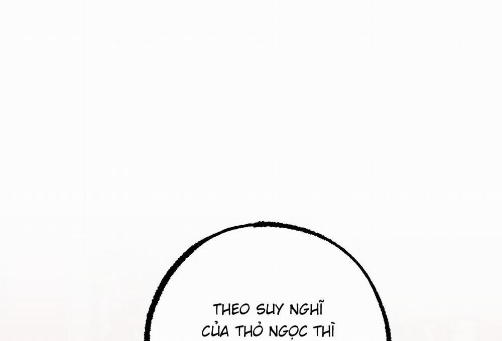 Đàn Thỏ Của Habibi 62 trang 296