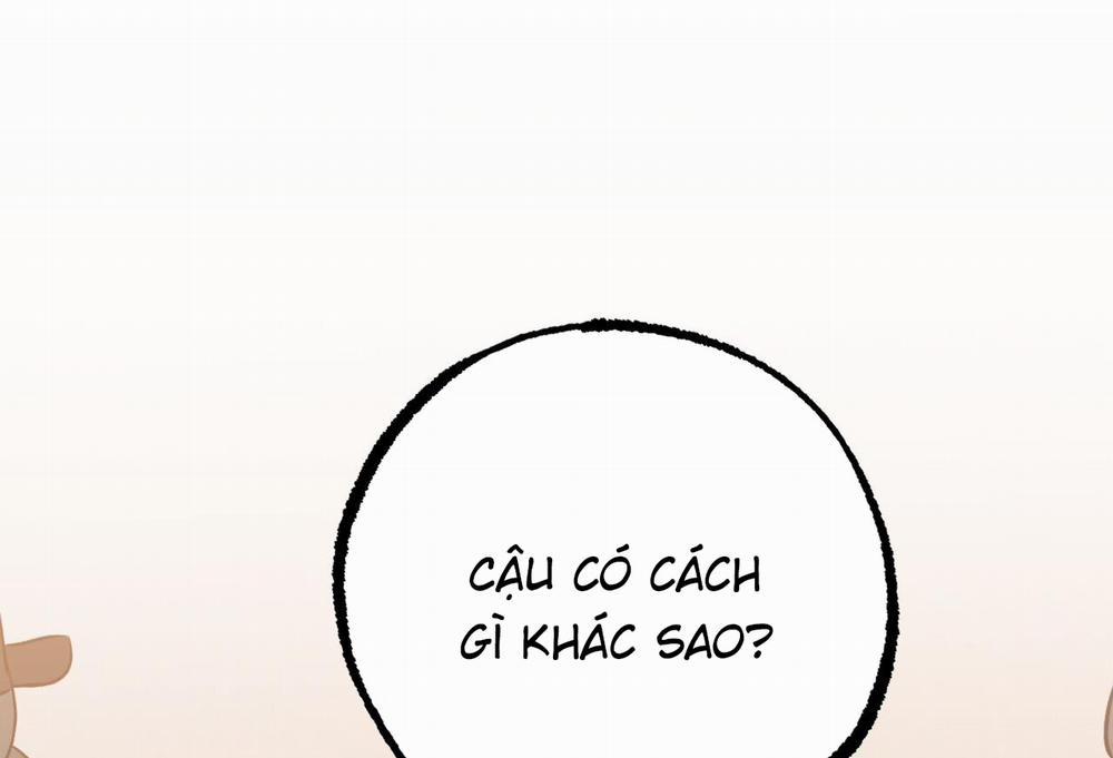 Đàn Thỏ Của Habibi 62 trang 304