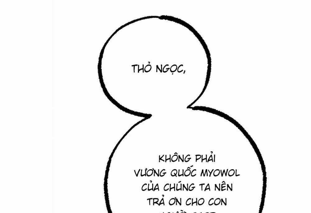 Đàn Thỏ Của Habibi 62 trang 92