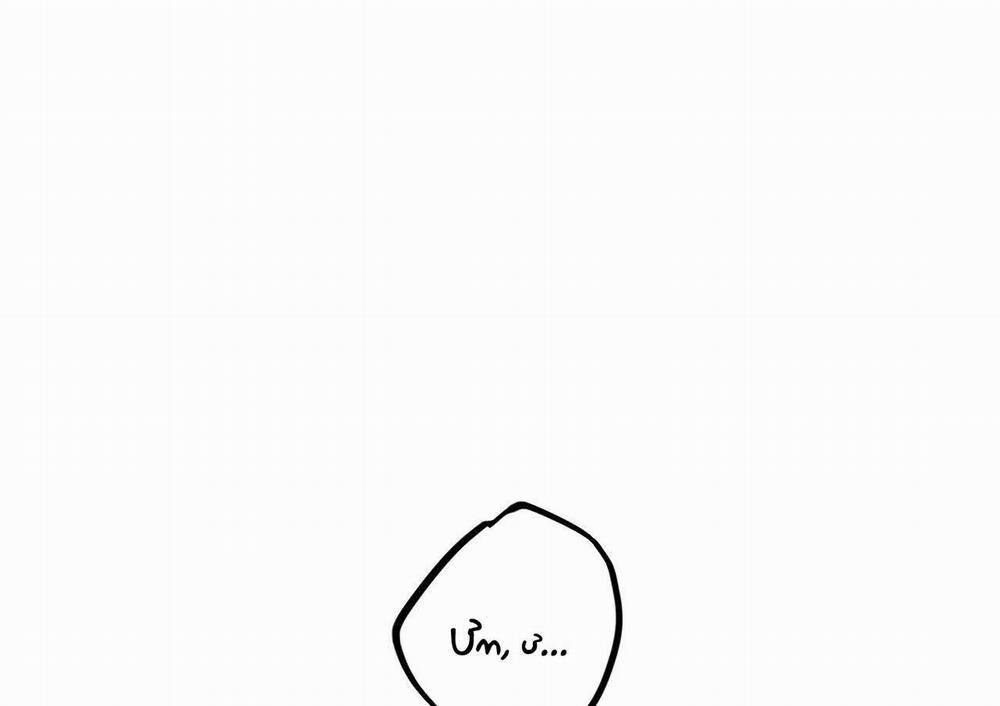 Đàn Thỏ Của Habibi 63 trang 122