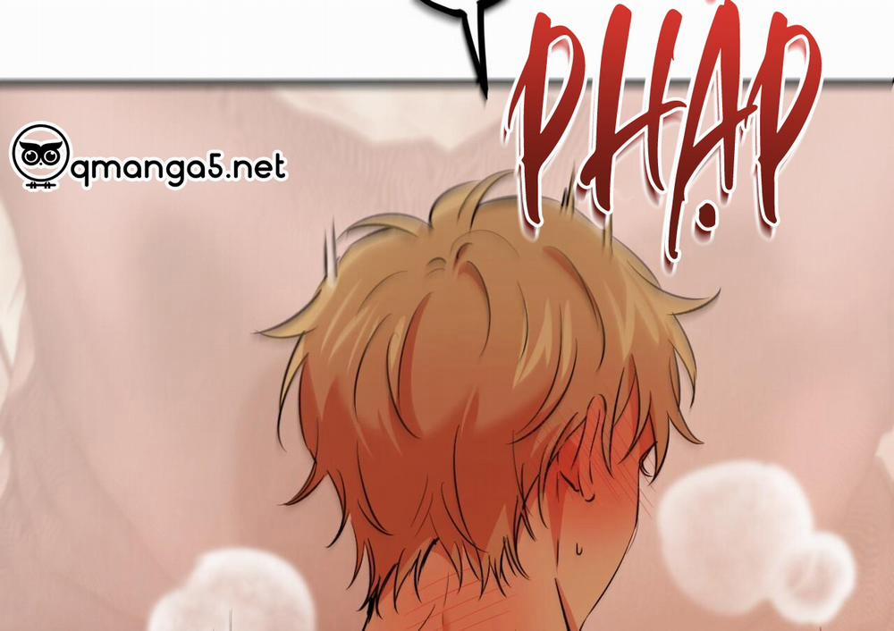 Đàn Thỏ Của Habibi 63 trang 141