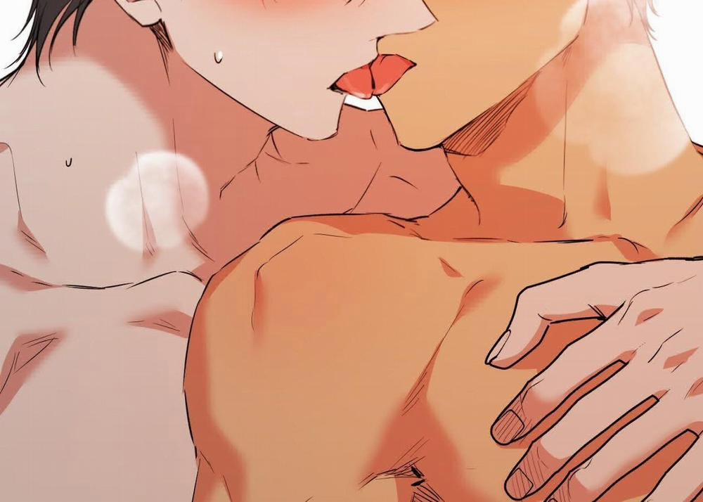 Đàn Thỏ Của Habibi 63 trang 154