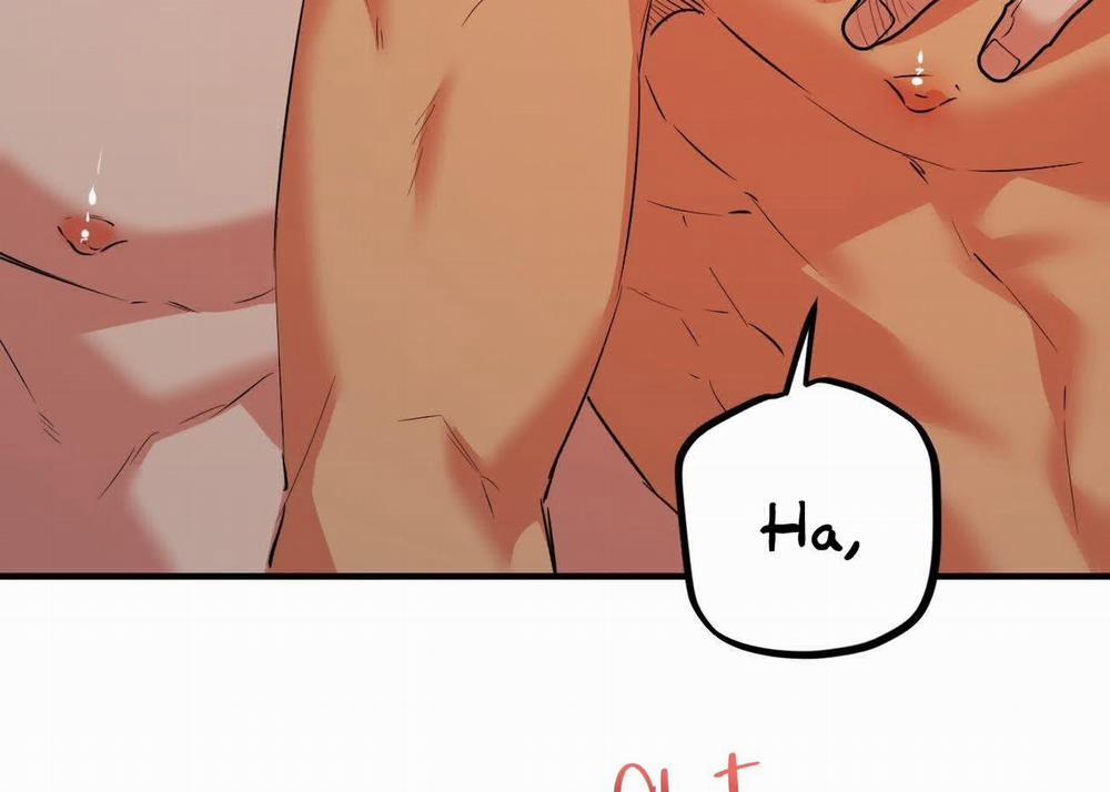 Đàn Thỏ Của Habibi 63 trang 155