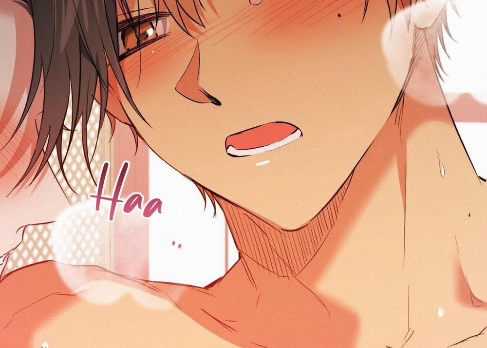 Đàn Thỏ Của Habibi 63 trang 159