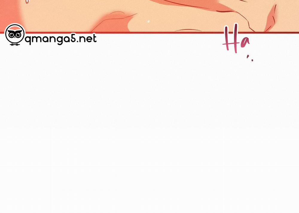 Đàn Thỏ Của Habibi 63 trang 160