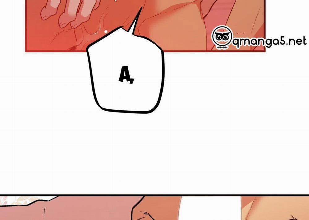 Đàn Thỏ Của Habibi 63 trang 166