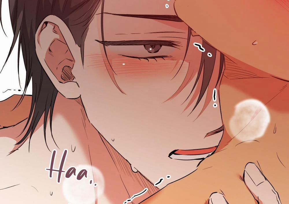 Đàn Thỏ Của Habibi 63 trang 176