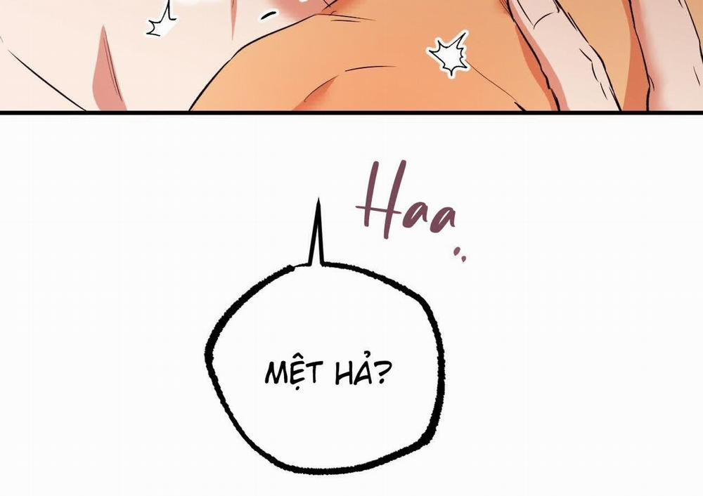 Đàn Thỏ Của Habibi 63 trang 177