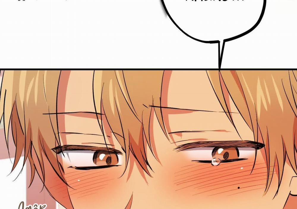 Đàn Thỏ Của Habibi 63 trang 188