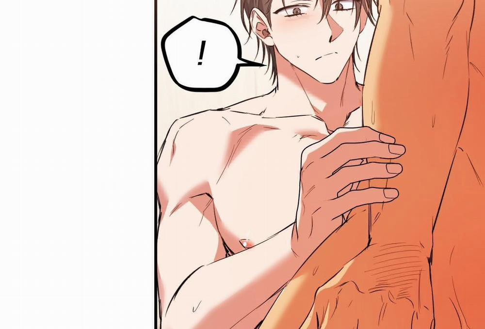 Đàn Thỏ Của Habibi 63 trang 192