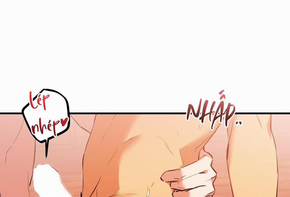 Đàn Thỏ Của Habibi 63 trang 195