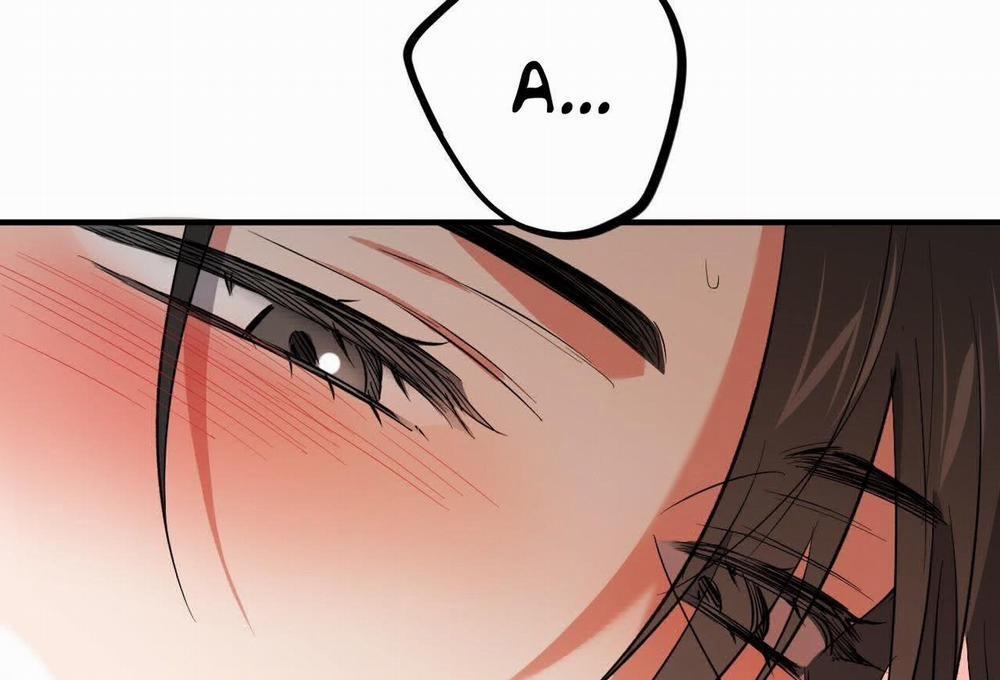 Đàn Thỏ Của Habibi 63 trang 198