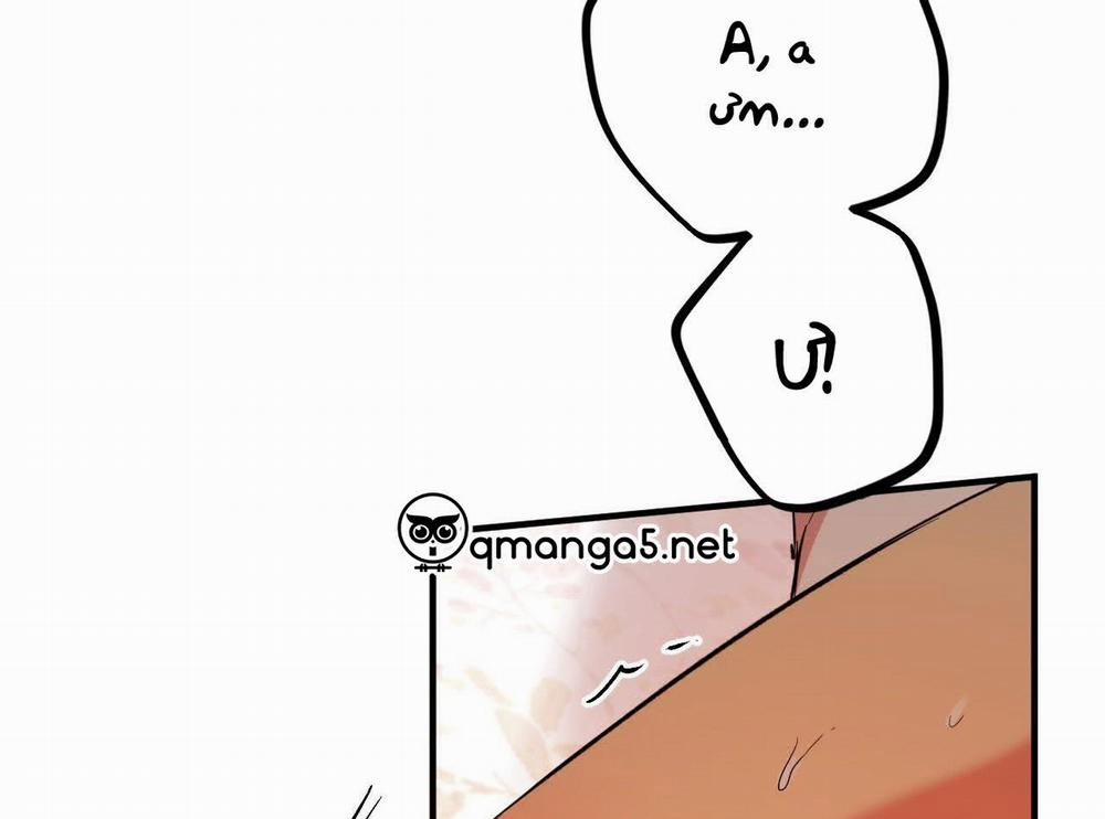 Đàn Thỏ Của Habibi 63 trang 226