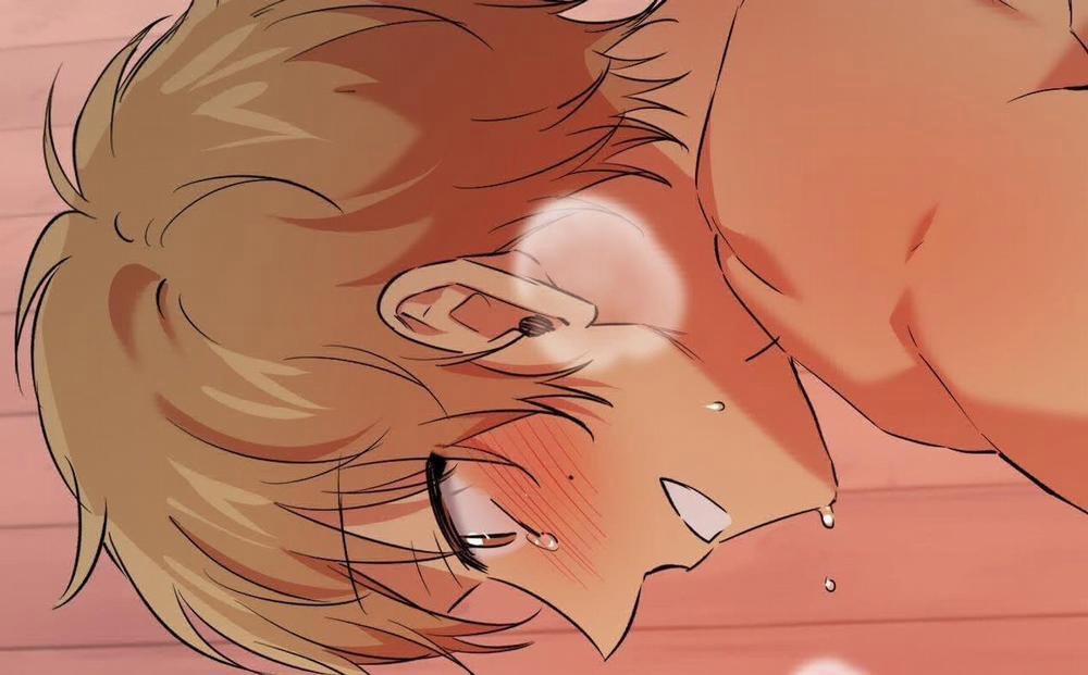 Đàn Thỏ Của Habibi 63 trang 243