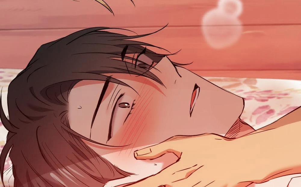 Đàn Thỏ Của Habibi 63 trang 244