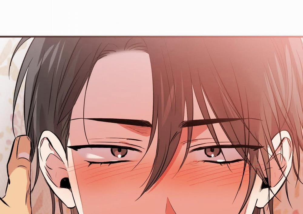 Đàn Thỏ Của Habibi 63 trang 253