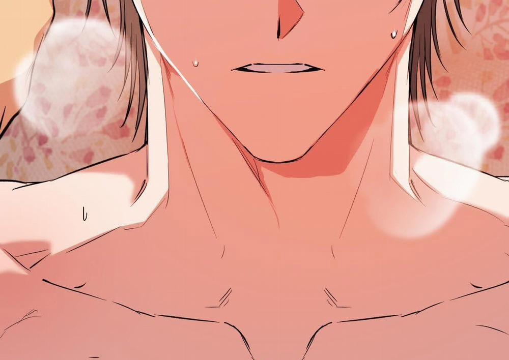 Đàn Thỏ Của Habibi 63 trang 254