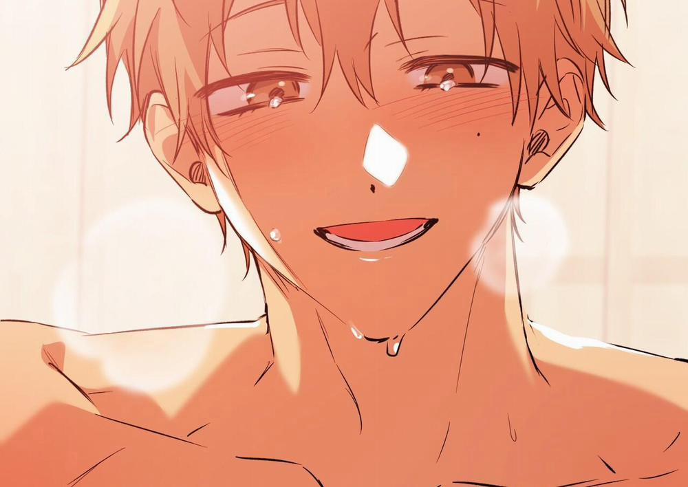 Đàn Thỏ Của Habibi 63 trang 258