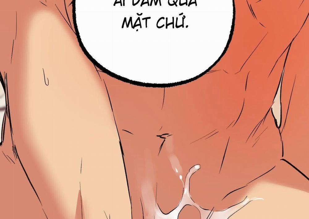 Đàn Thỏ Của Habibi 63 trang 260