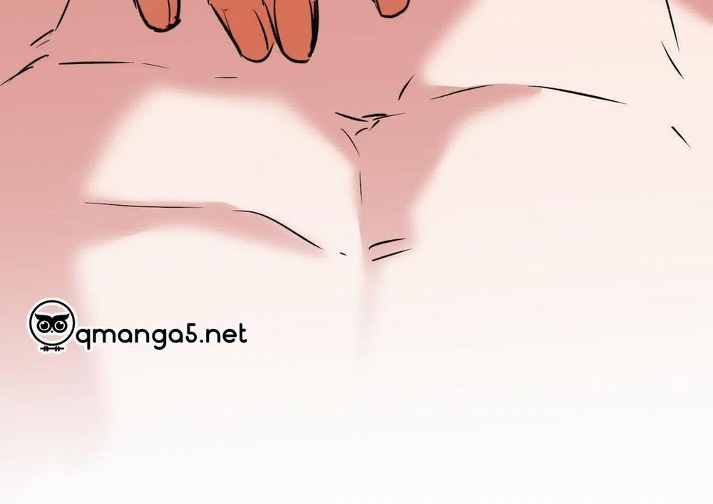 Đàn Thỏ Của Habibi 63 trang 262