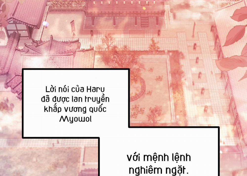 Đàn Thỏ Của Habibi 63 trang 73