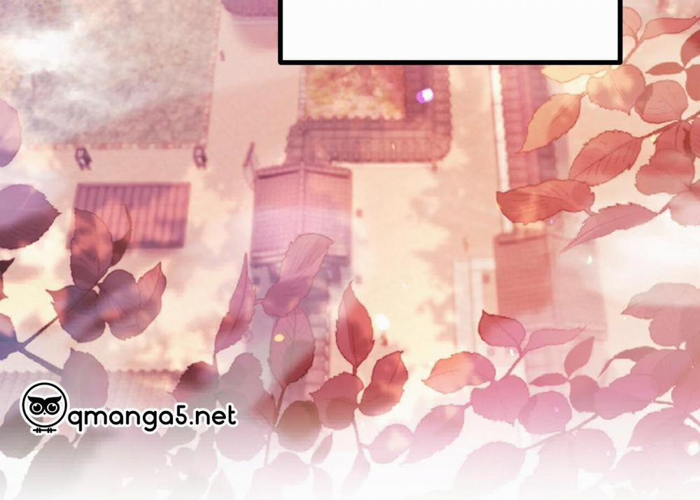 Đàn Thỏ Của Habibi 63 trang 74