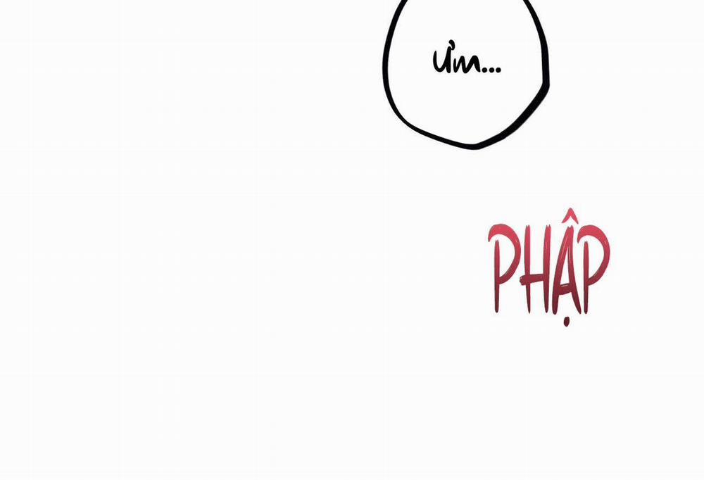 Đàn Thỏ Của Habibi 64 trang 10