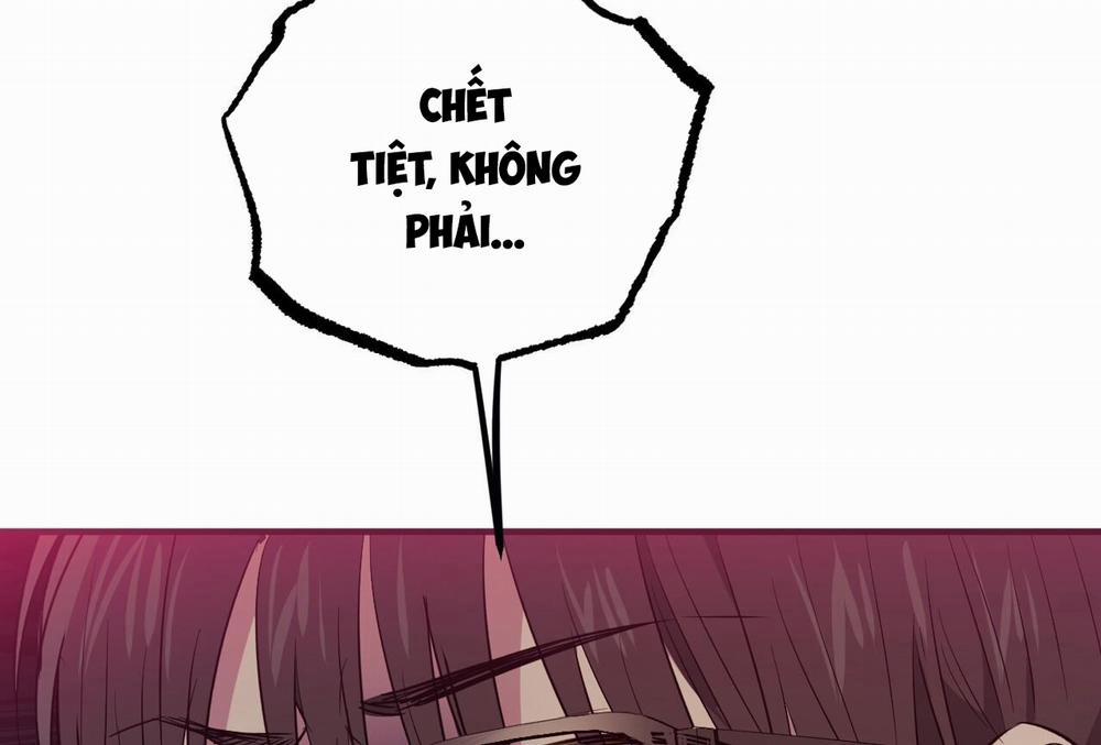 Đàn Thỏ Của Habibi 64 trang 143