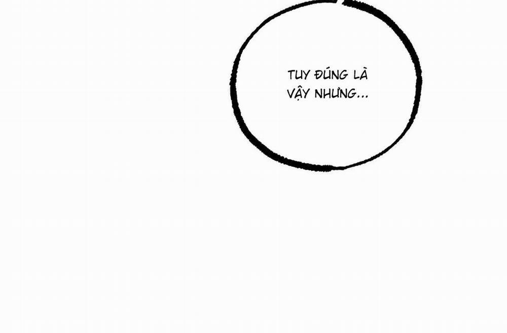 Đàn Thỏ Của Habibi 64 trang 168