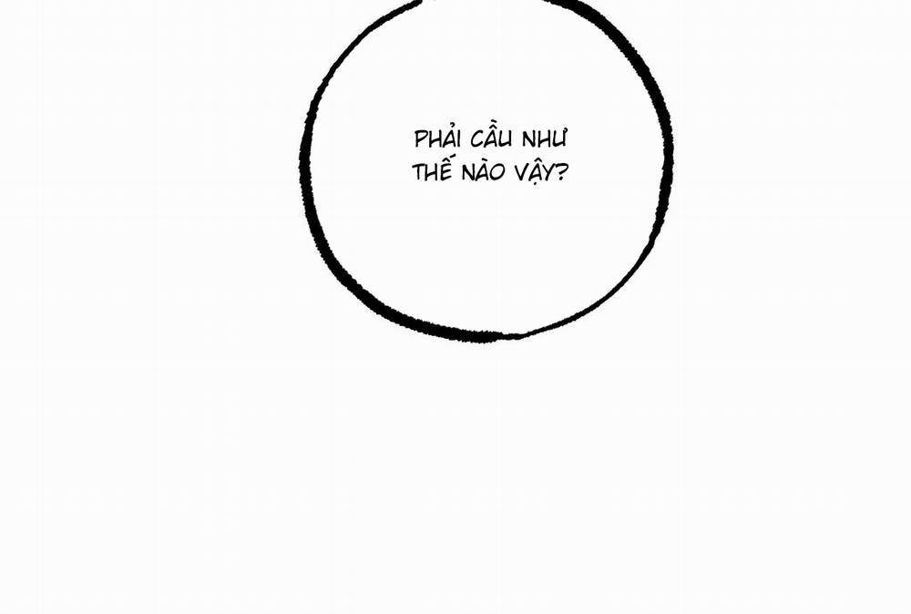 Đàn Thỏ Của Habibi 64 trang 198