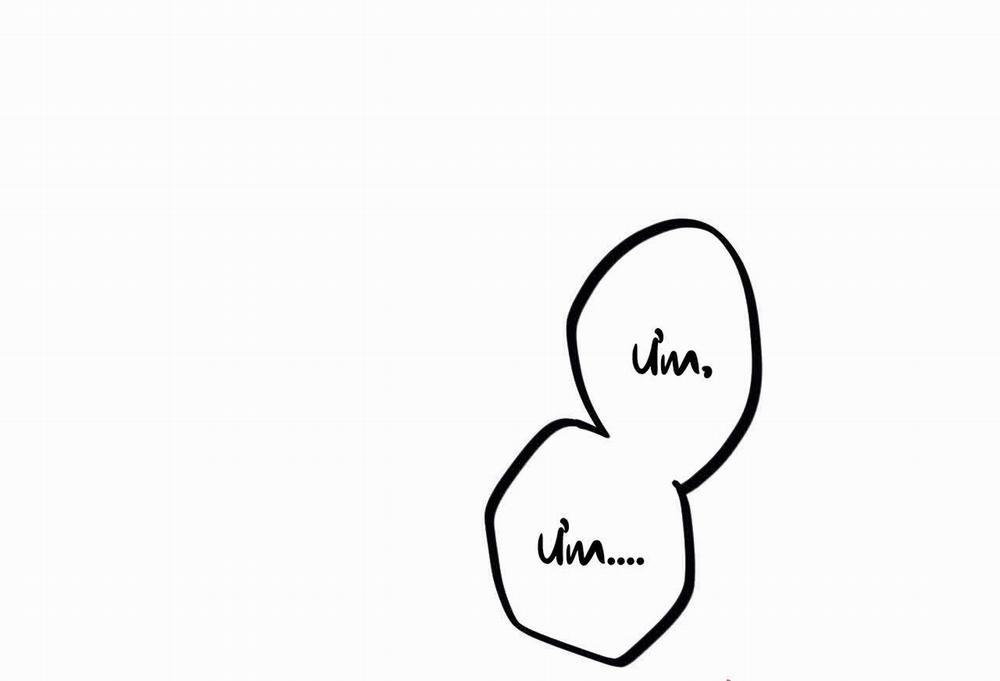 Đàn Thỏ Của Habibi 64 trang 2