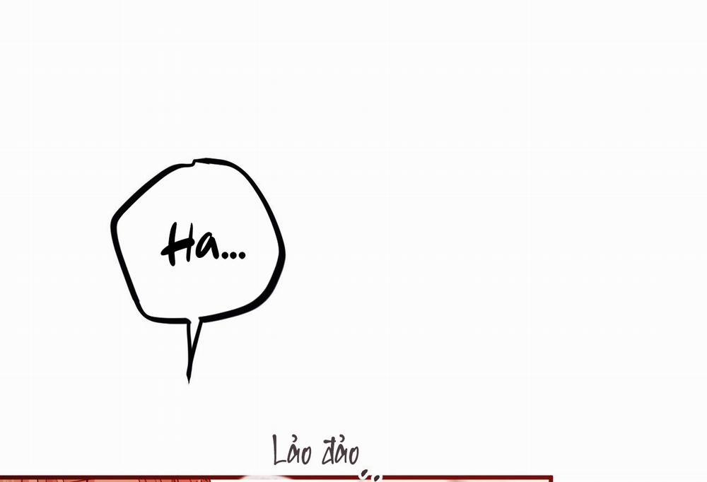 Đàn Thỏ Của Habibi 64 trang 21