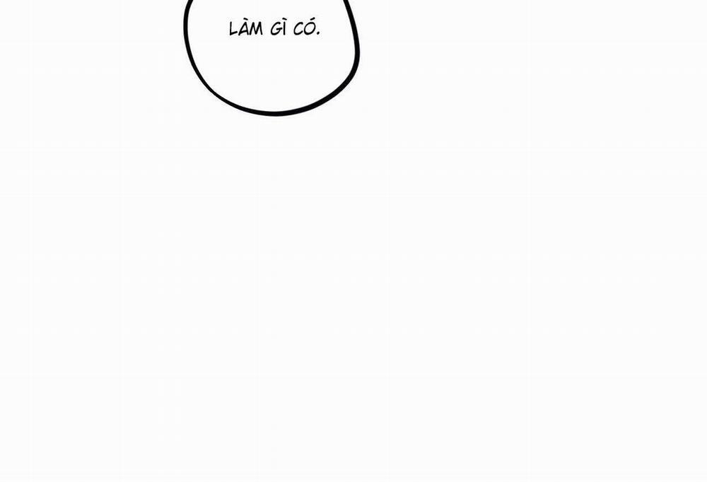 Đàn Thỏ Của Habibi 64 trang 215