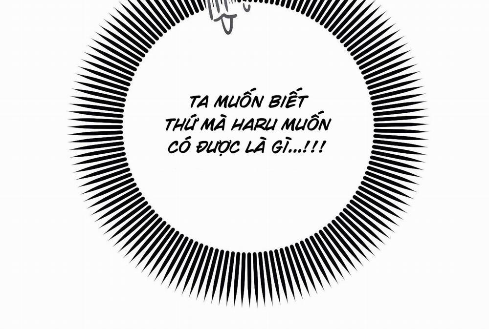 Đàn Thỏ Của Habibi 64 trang 233