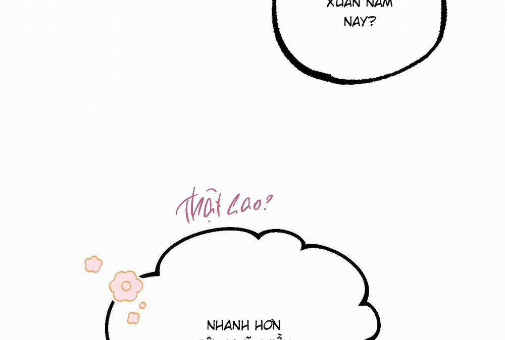 Đàn Thỏ Của Habibi 64 trang 271