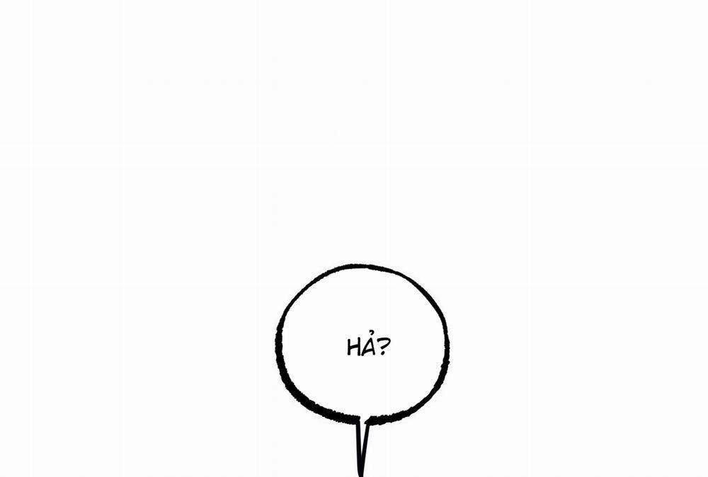 Đàn Thỏ Của Habibi 64 trang 33