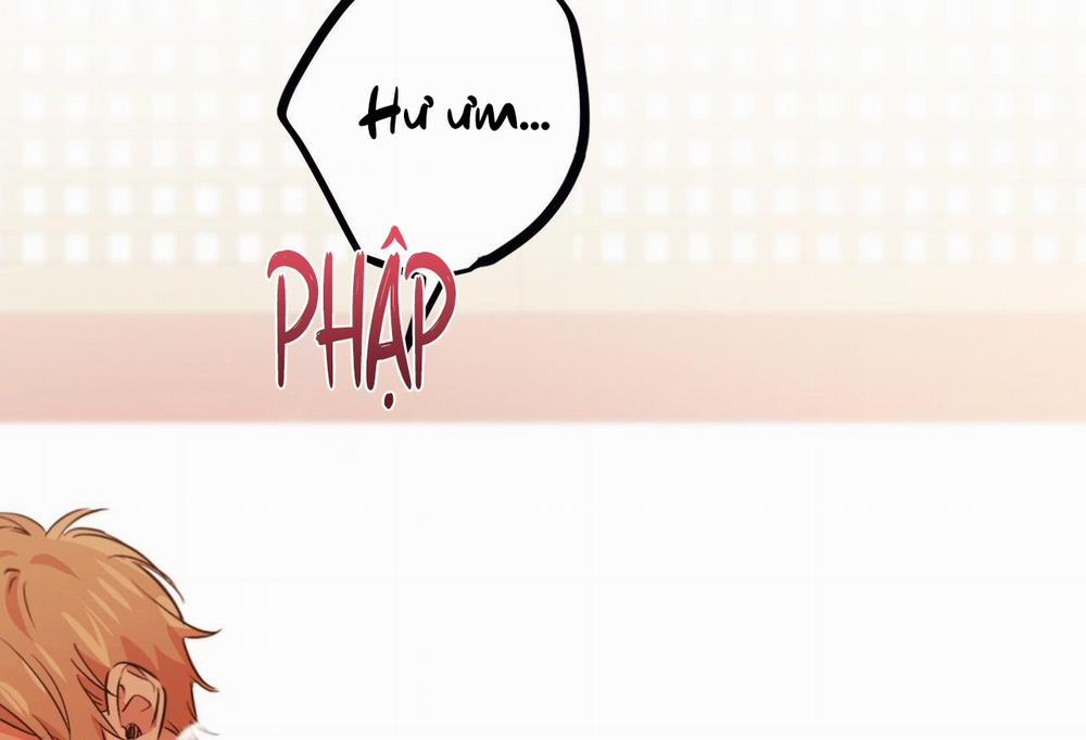 Đàn Thỏ Của Habibi 64 trang 4