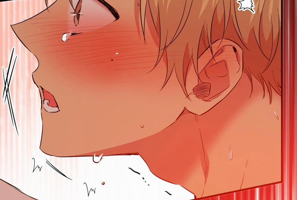 Đàn Thỏ Của Habibi 64 trang 55