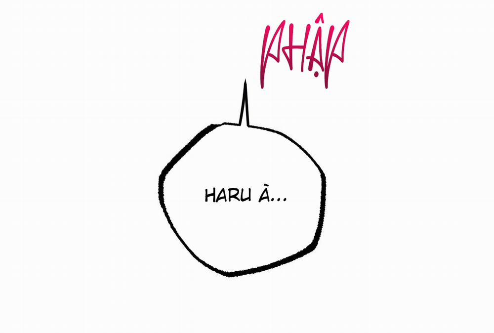 Đàn Thỏ Của Habibi 64 trang 64