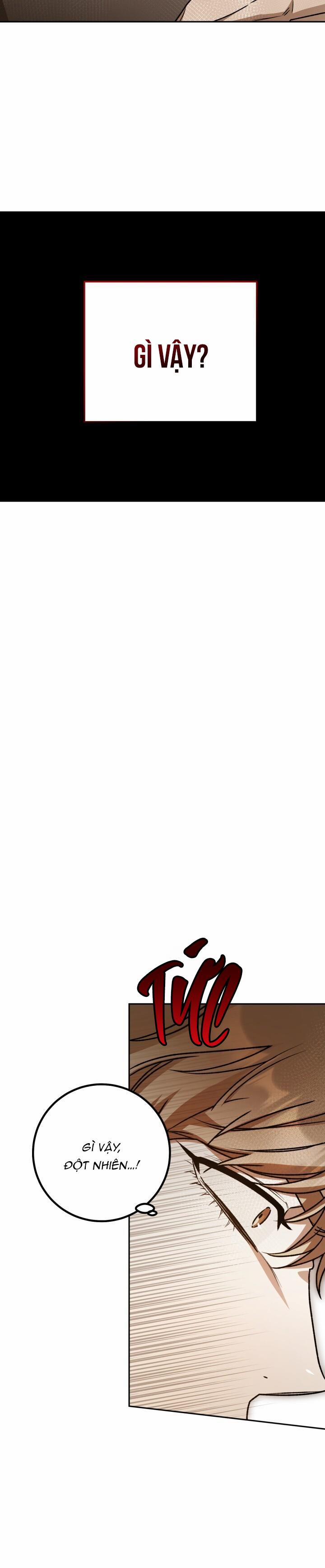 Đang Lập Kế Trả Thù Tôi Yêu Kẻ Thù Lúc Nào Không Hay 47 trang 15
