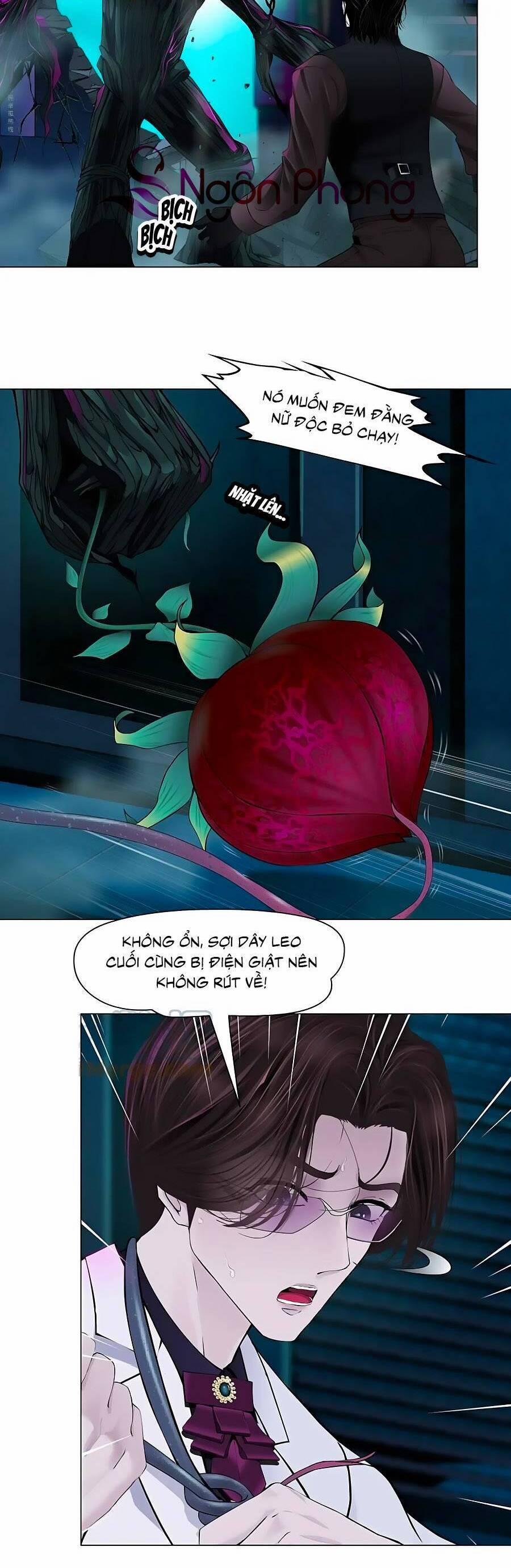 Đằng Nữ 170 trang 2